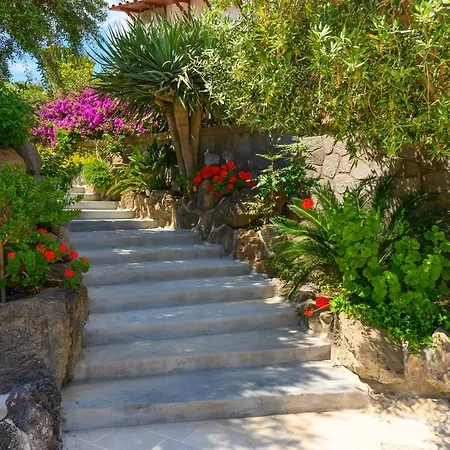 Sorgeto Garden-3