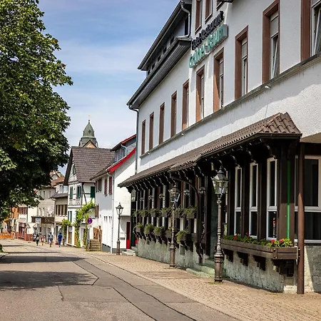 Hotel Grüner Baum-2