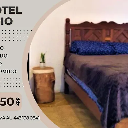 Hotel Ario-2