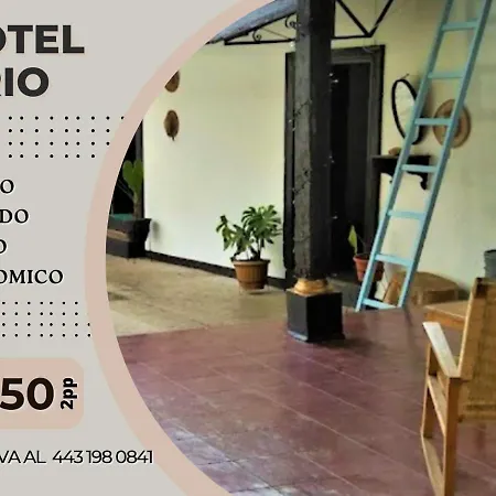 Hotel Ario-3