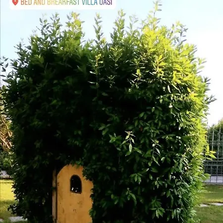 Villa Oasi-2