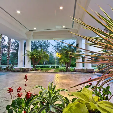 Holiday Inn Express And Suites Tampa I-75 At Bruce B. Downs By Ihg-3