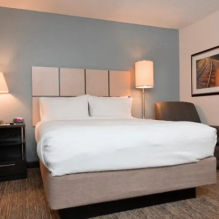 Sonesta Simply Suites Clearwater St Petersburg-3