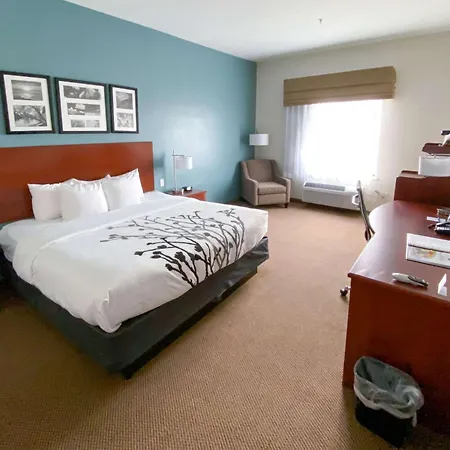 Sleep Inn & Suites Pearland - Houston South-3