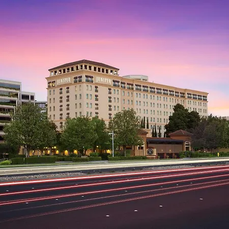 Juniper Hotel Cupertino, Curio Collection By Hilton-3