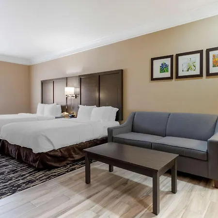 Comfort Suites Kingwood, Humble, New Caney, Houston Iah Airport-2