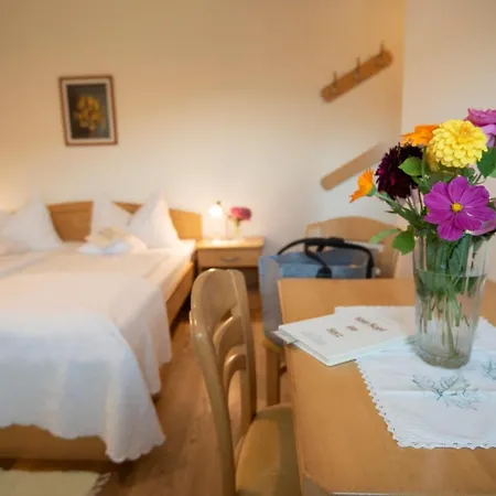 Gasthof Pension Orthofer-3
