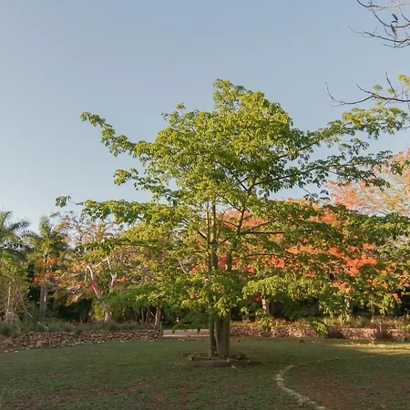 Hacienda Shambalante-3