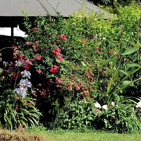 Country House-3