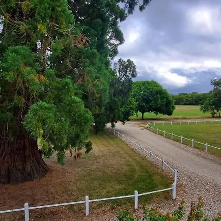 Le Sequoia-2