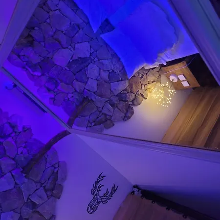 LOVE Room Danslesbois avec spa-3