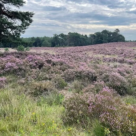 Gastenverblijf op unieke locatie De Kronkel op de Veluwe-2
