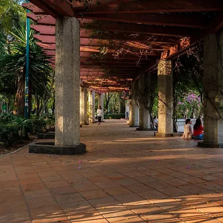 Nido Condesa-3