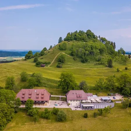 Hotel Hofgut Hohenkarpfen-3