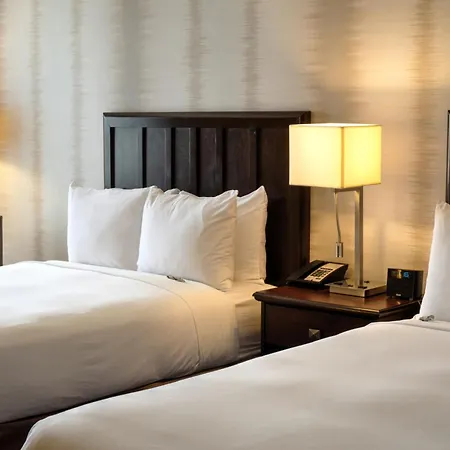Radisson Hotel Fort Worth North-Fossil Creek-3