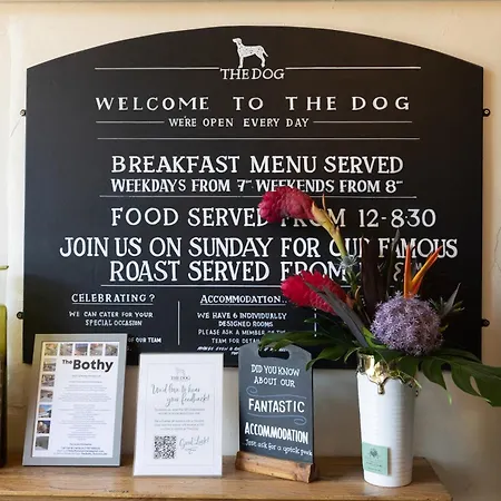 The Dog In Over Peover-2