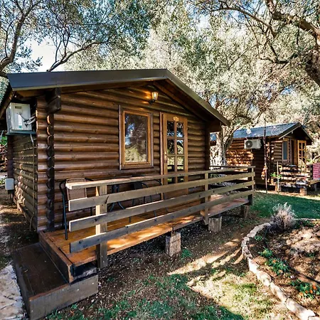 Holiday Park Olive Tree-3