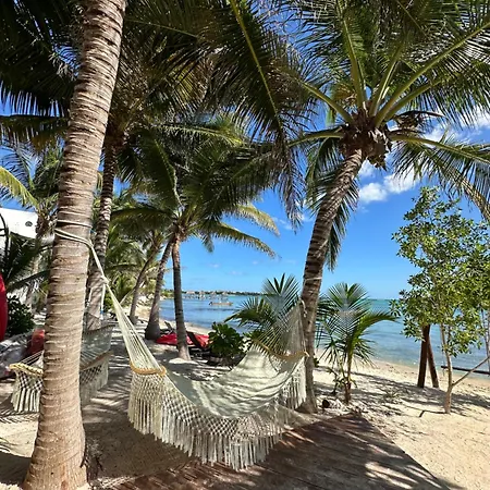 Alea Tulum-2