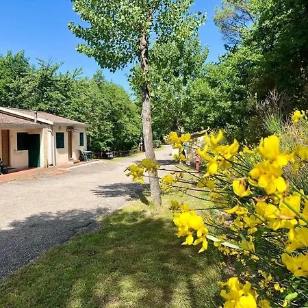 Camping Village Mugello Verde-2