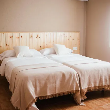 Hostal Entreolivos-2