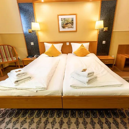 Parkhotel Neustadt Garni-2