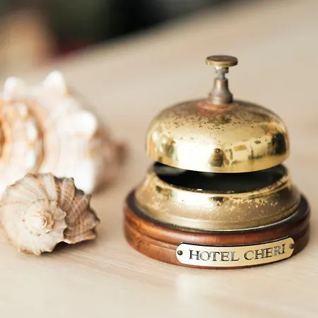 Hotel Cheri-3