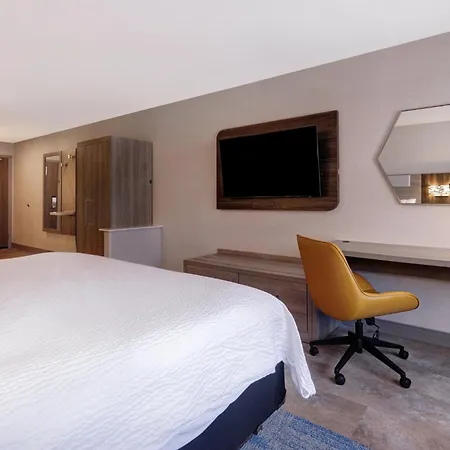 Holiday Inn Express Hotel & Suites Moab By Ihg-2