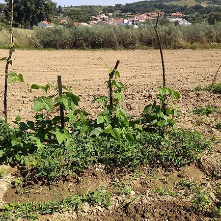 Vivenda Das Eiras-3