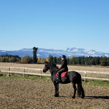 Paradise Acres Ranch-3