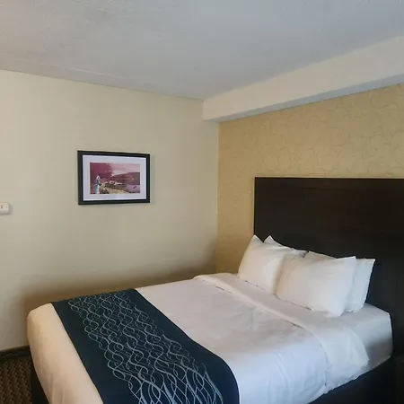 Comfort Inn-3