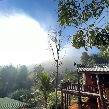 Forest Guesthouse-3