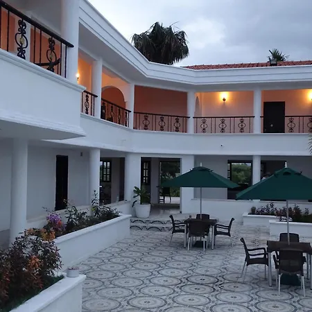 Hotel Palmas De Alcalá-2