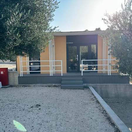 Camp Milo Moje-2
