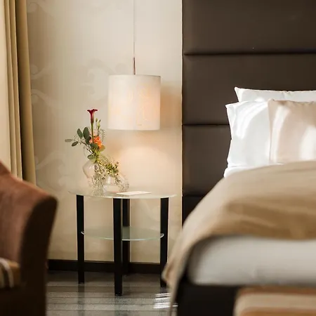 Hotel Timisoara-3