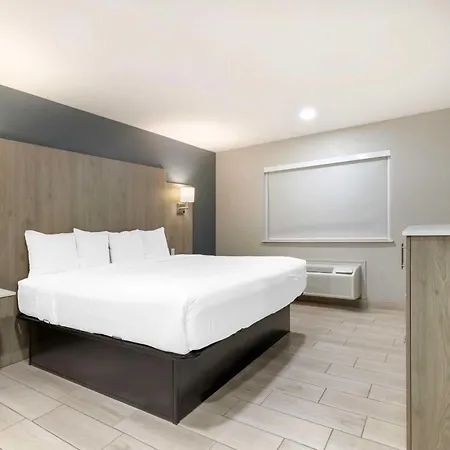 Best Western Plus Edinburg Inn & Suites-3
