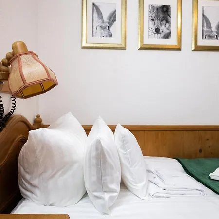 Hotel zum See, Titisee-2