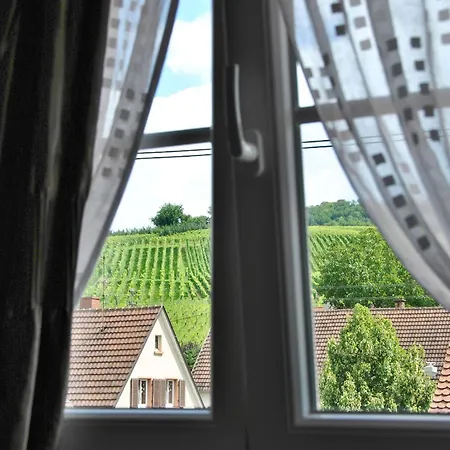 Landgasthof Rebstock Weil am Rhein / Basel-3