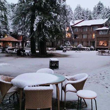 Welcomhotel By Itc Hotels, Pine N Peak, Pahalgam-3