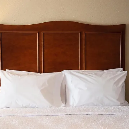 Hampton Inn & Suites Jacksonville-3