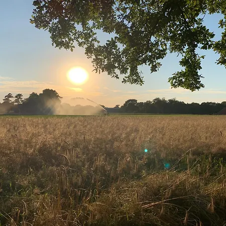 De Hiddinghhoeve-2