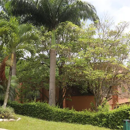 Hotel Palmera Real-3