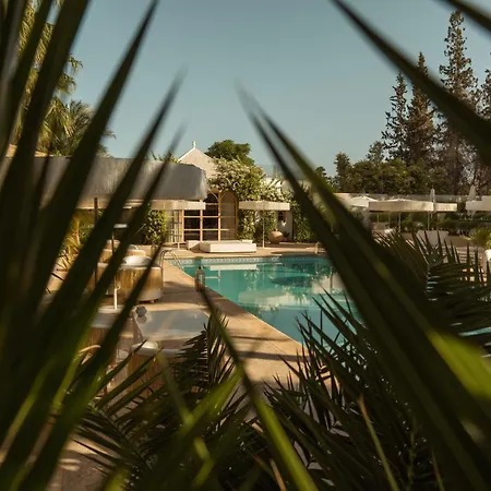 Les Palmiers Boutique Hôtel&Spa-2