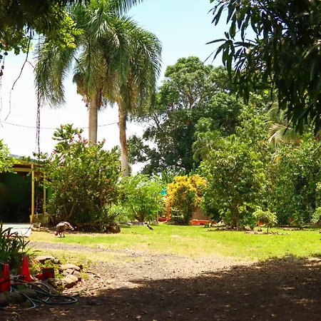 La Casa De Vida Natural-2