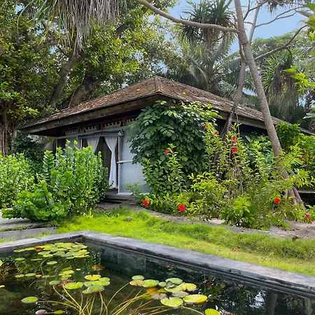 The Barefoot Eco Hotel-2