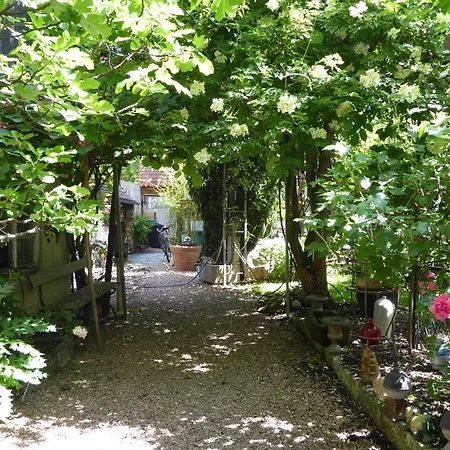 Pension Zur Rose-2