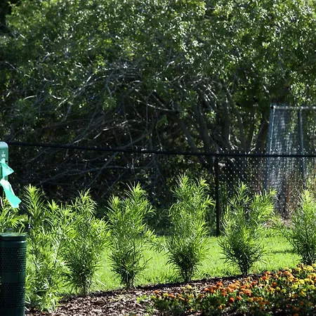 Home2 Suites By Hilton Orlando Airport-3