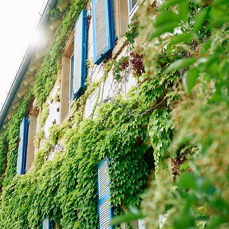 Hofgut Wißberg - Das Weinberghotel-3