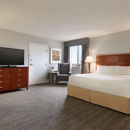 Doubletree By Hilton Minneapolis Park Place-2