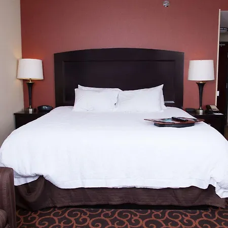 Hampton Inn & Suites Dickinson Nd-3