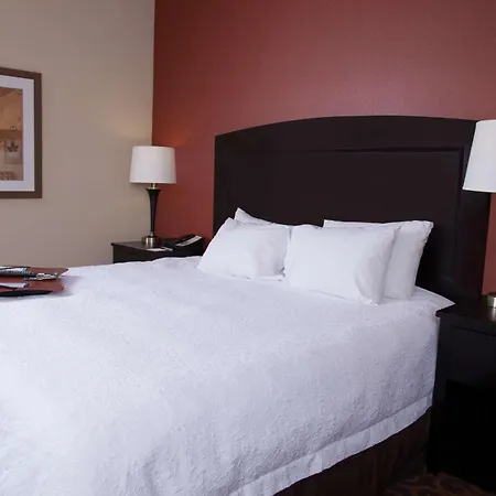 Hampton Inn & Suites Dickinson Nd-2